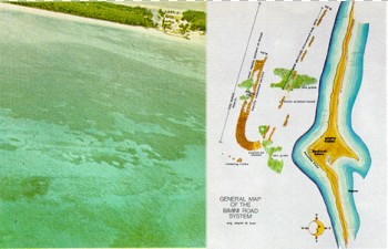 Datei:Bimini-Road2.jpg