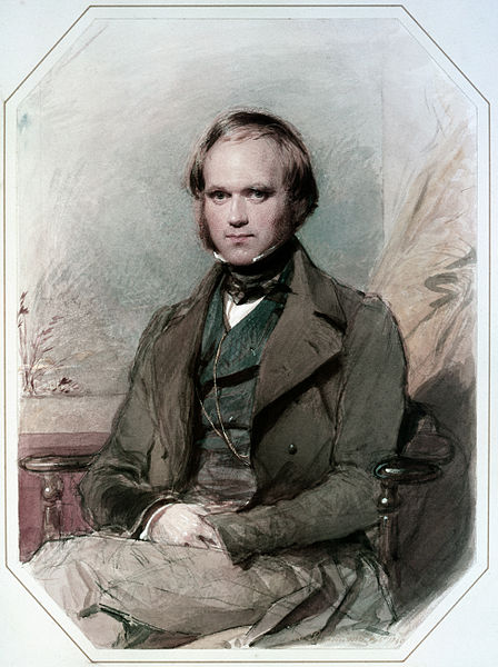 Datei:Charles Darwin by G. Richmond.jpg