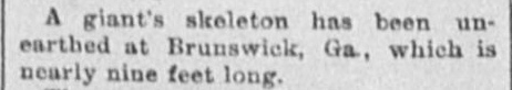 Fort-Worth-Gazette-sept-15-1892-pg-12.jpg