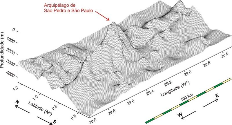 Datei:Motoki Aspsp br Fig04 c AbyssalMorphology.jpg