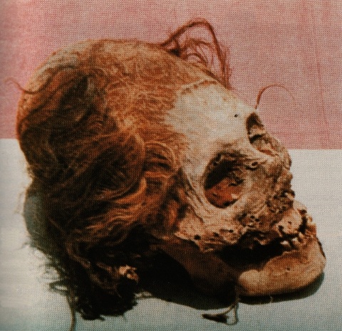 Datei:Paracas Mumie.jpg