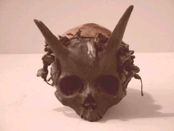 Datei:Satyr cranium.jpg