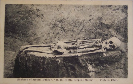 Skeleton of 7 ft Mound Builder Peebles Co Ohio - ME2.JPG