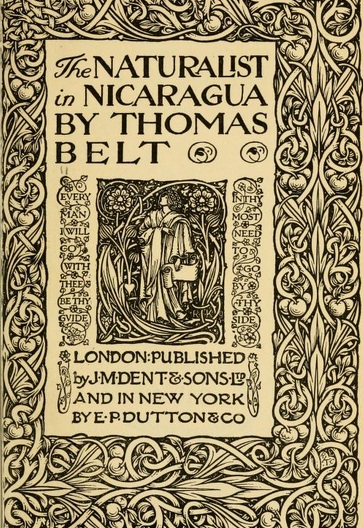 Datei:Thomas Belt - Schmuckblatt.jpg