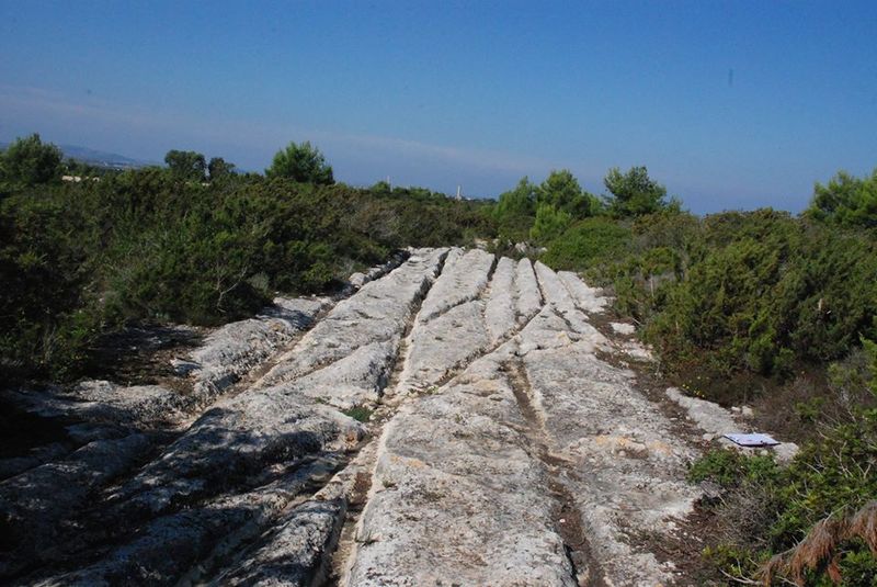 Datei:44453499 10218583522926454 282225745583931392 n.jpg