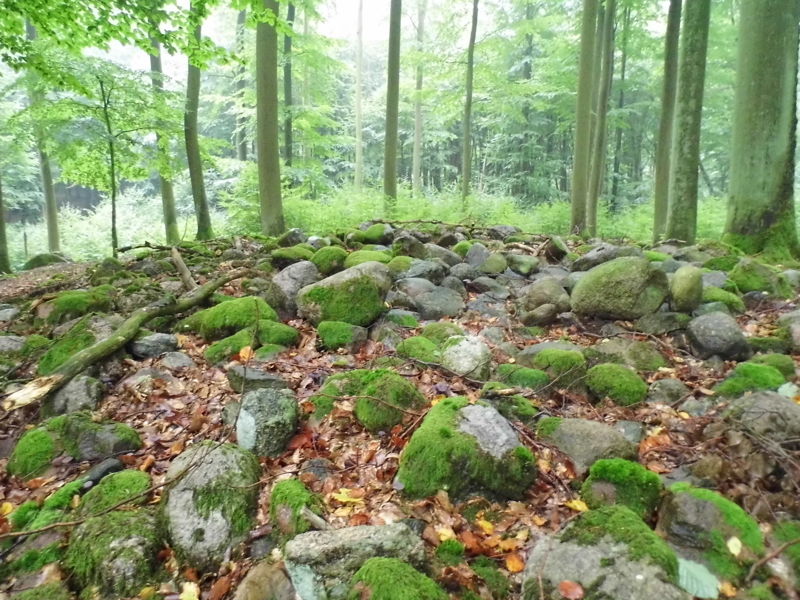 Datei:Hügelgrab 2.JPG