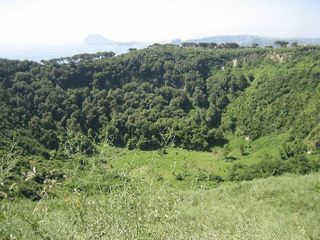 Monte Nuovo Krater.JPG
