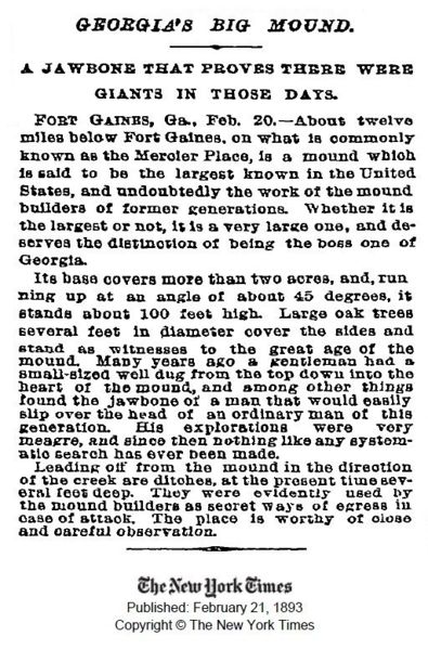 Datei:New York Times 21. Feb. 1893.jpg