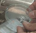 Vorschaubild der Version vom 27. Oktober 2013, 07:25 Uhr